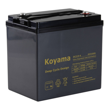 Batterie profonde de cycle de véhicule de golf -6V210ah